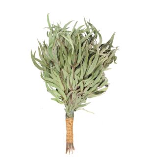 SAUNAVIHTA, EUKALYPTUS, PREMIUM