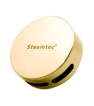 STEAMTEC HÖYRYSUUTIN, KULTA VÄRI